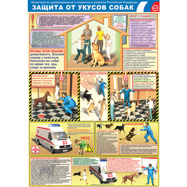 Плакат "Защита от укусов собак"