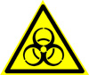  W-16    ( )