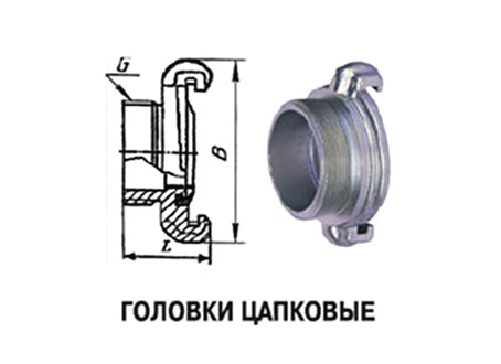   -50 (  )